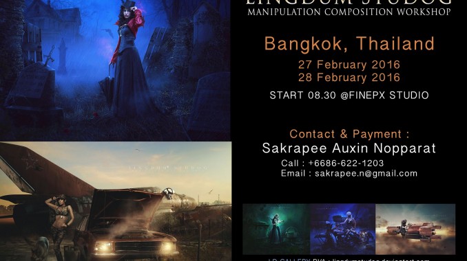 Professional Photoshop Manipulation